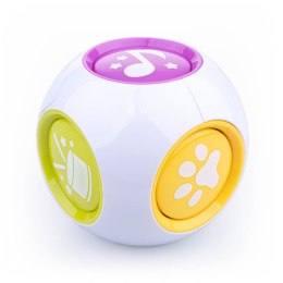 Kostka edukatorka 6w1