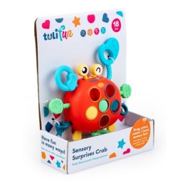 Krab sensoryczne niespodzianki