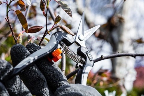 SEKATOR DO MŁODYCH PĘDÓW 185MM ZAKRES DO 6MM SEKATOR DO MŁODYCH PĘDÓW 185MM ZAKRES DO 6MM