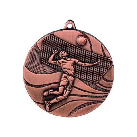 Medal brązowy- siatkówka Medal brązowy- siatkówka
