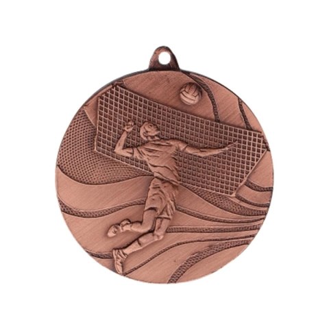 Medal brązowy- siatkówka Medal brązowy- siatkówka