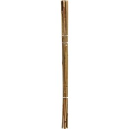 PODPORA DO ROŚLIN 60cm BAMBUS 10SZT PROGARDEN