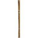 PODPORA DO ROŚLIN BAMBUSOWA TYCZKA 78 CM 10SZT PROGARDEN