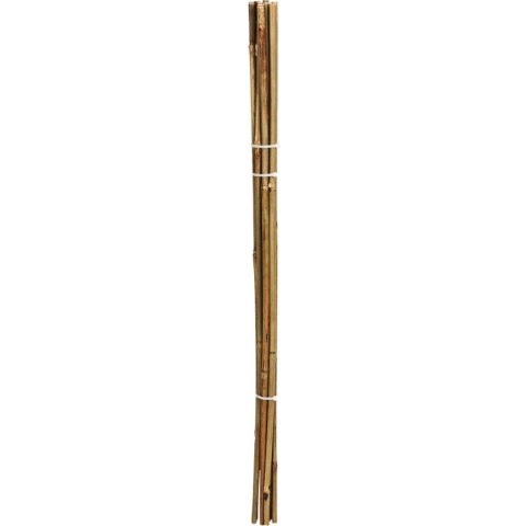 PODPORA DO ROŚLIN BAMBUSOWA TYCZKA 78 CM 10SZT PROGARDEN PODPORA DO ROŚLIN BAMBUSOWA TYCZKA 78 CM 10SZT PROGARDEN