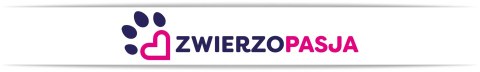 Szelki dla psa ASTRO granatowe rozmiar XL Szelki dla psa ASTRO granatowe rozmiar XL