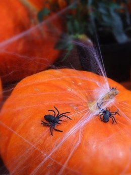 Pająki plastikowe, czarne, 10 szt.