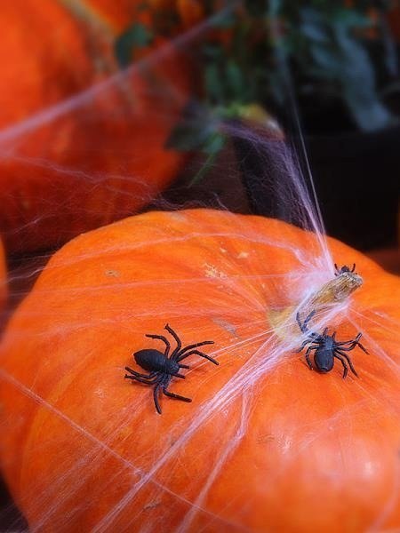 Pająki plastikowe, czarne, 10 szt. Pająki plastikowe, czarne, 10 szt.