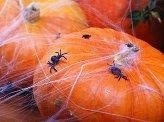 Pająki plastikowe, czarne, 10 szt. Pająki plastikowe, czarne, 10 szt.