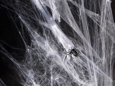 Pająki plastikowe, czarne, 10 szt. Pająki plastikowe, czarne, 10 szt.