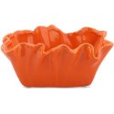Miseczka koralowiec pomarańczowa