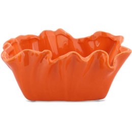 Miseczka koralowiec pomarańczowa