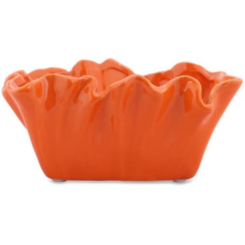 Miseczka koralowiec pomarańczowa