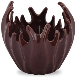 Miska koralowiec brązowa