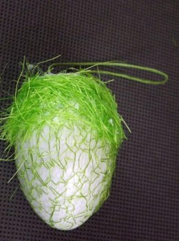 Komplet Zielonych Jajek Dekoracyjnych z Sizalem i Kwiatkami w Boksie