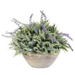 Lawenda w Postarzanej Glinianej Donicy 35 cm - Dekoracja w Stylu Prowansji