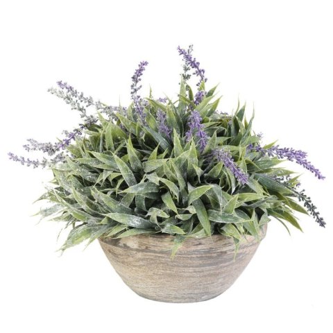 Lawenda w Postarzanej Glinianej Donicy 35 cm - Dekoracja w Stylu Prowansji