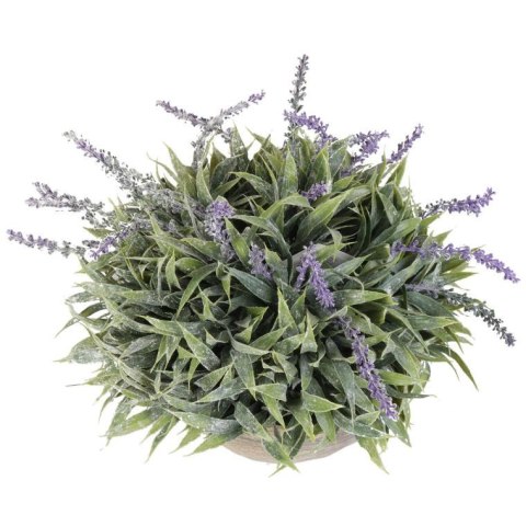 Lawenda w Postarzanej Glinianej Donicy 35 cm - Dekoracja w Stylu Prowansji