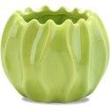 Mała Dekoracyjna Miseczka Koralowiec w Kolorze Zielonym
