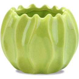 Mała Dekoracyjna Miseczka Koralowiec w Kolorze Zielonym