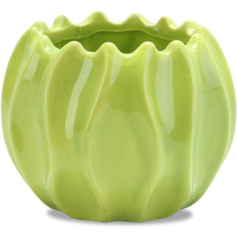 Mała Dekoracyjna Miseczka Koralowiec w Kolorze Zielonym