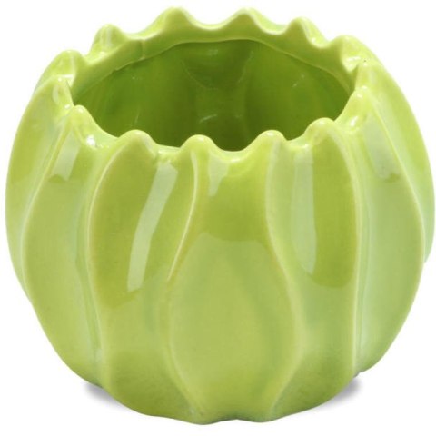 Mała Dekoracyjna Miseczka Koralowiec w Kolorze Zielonym