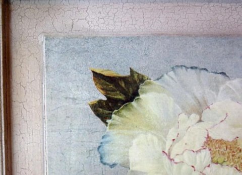 Obraz Postarzanej Białej Piwonii 38x38 cm - Kolekcja Kwiatów