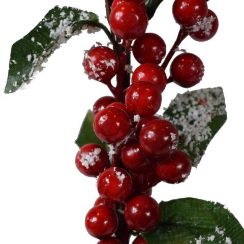 Ośnieżona gałązka jarzębinowa w kolorze czerwonym