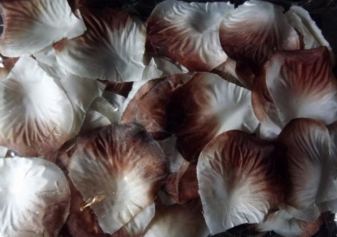 Płatki róż z materiału zapakowane w woreczek w kolorze biało-brązowym