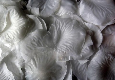 Płatki róż z materiału zapakowane w woreczek w kolorze białym