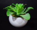 Sztuczny sukulent w białej ceramicznej osłonce