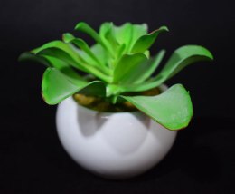 Sztuczny sukulent w białej ceramicznej osłonce