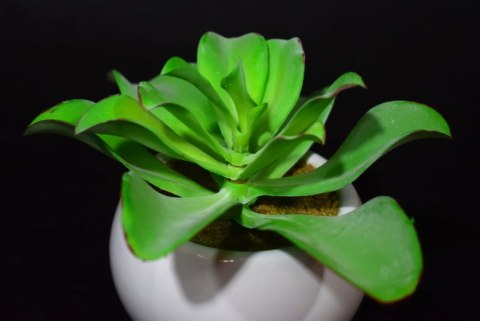 Sztuczny sukulent w białej ceramicznej osłonce