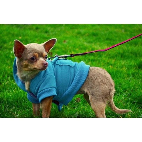 Automatyczna Różowa Smycz dla Psa 3m z Komfortową Rączką i Stałą Blokadą do 11kg