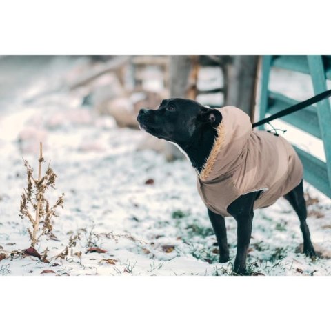 Automatyczna Smycz dla Psa do 11kg - Żółta, 3m, Wytrzymała z Wygodną Rączką i Stałą Blokadą