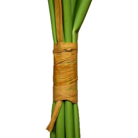 Bukiet Gerber, GRB-P74