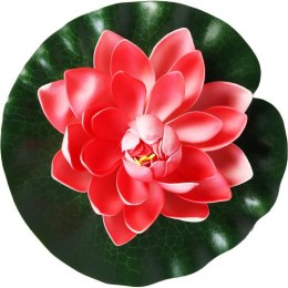 Dekoracyjna Lilia Wodna do Oczka Wodnego o Szerokości 20 cm