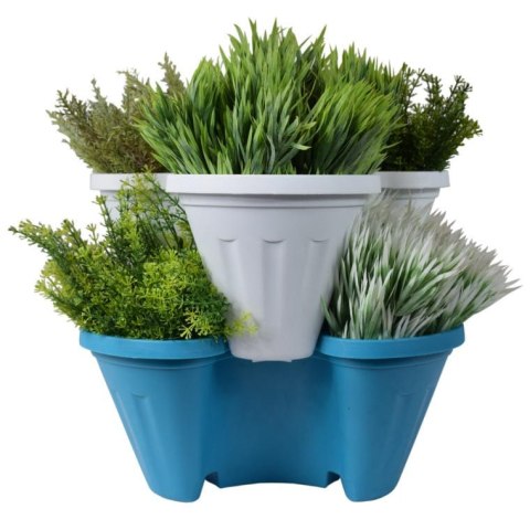 Donica kaskadowa, niebieska