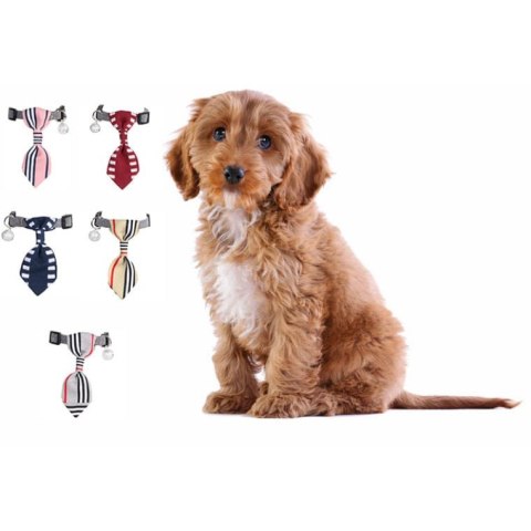 Elegancka Obroża z Krawatem i Bezpiecznym Dzwoneczkiem w Kolorze Bordowym