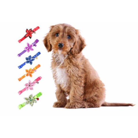 Fioletowa Obroża dla Zwierząt z Ozdobnym Kwiatkiem i Praktycznym Dzwoneczkiem