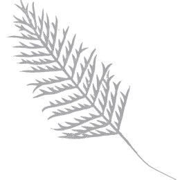 Gałązka brokatowa- biała paproć