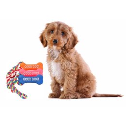 Gryzak piszczący niebieski kość ze sznurkiem