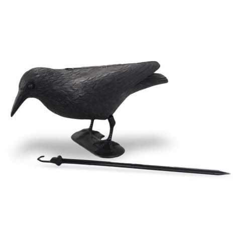 Kruk-Symulator: Realistyczny odstraszacz ptaków do ogrodu i domu