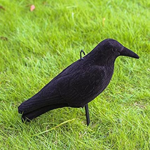 Kruk-Symulator: Realistyczny odstraszacz ptaków do ogrodu i domu