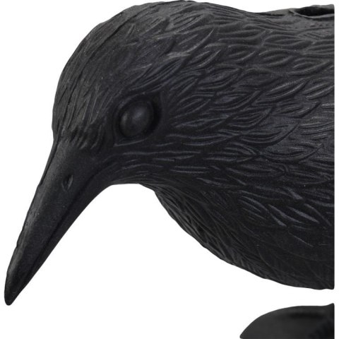 Kruk-Symulator: Realistyczny odstraszacz ptaków do ogrodu i domu