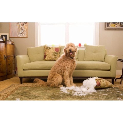 Piszczący Gryzak dla Psa w Kolorze Różowym ze Sznurkiem