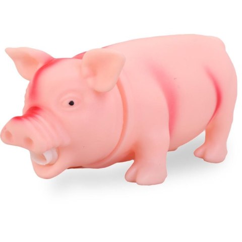 Zabawka dla psa Świnka Chrum-Chrum z lateksu