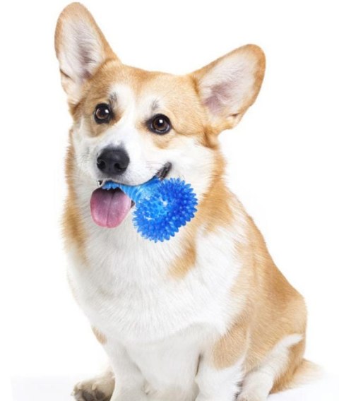 Zielony Gryzak-Kościuszka Gumowa dla Psów