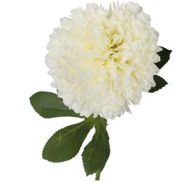 Biały Czosnek Dekoracyjny - Kwiat Pojedynczy, Długość 52 cm