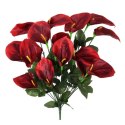 Bukiet 12 anturium w kolorze czerwonym
