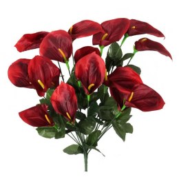 Bukiet 12 anturium w kolorze czerwonym